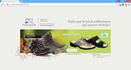 Link zu: Rimi's Schuh Service